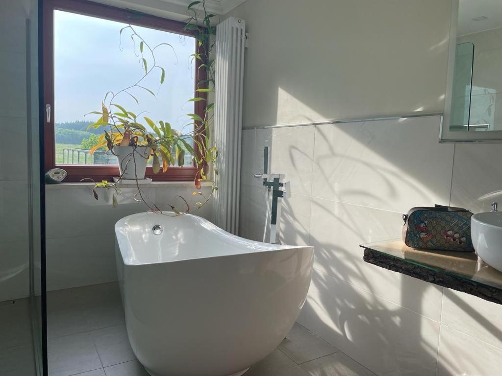 Bed and Breakfast Landhaus Im Hamburger Suden Asendorf Екстер'єр фото